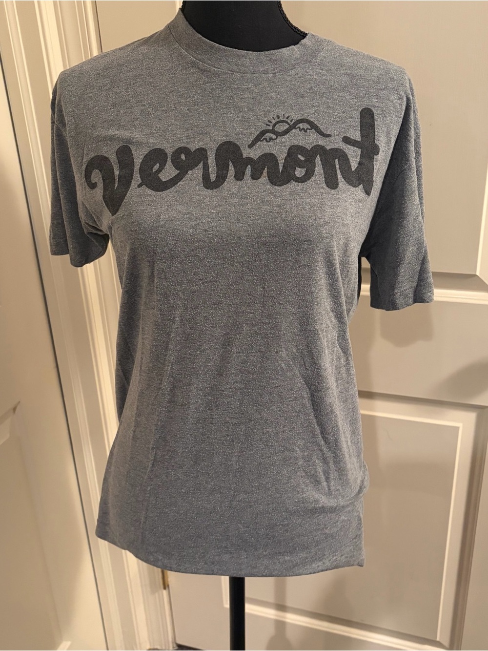 American Apparel Gray Vermont Graphic Tee